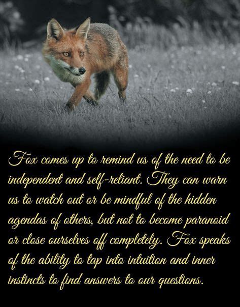 20 Best Fox Quotes Images Fox Fox Quotes Spirit Animal