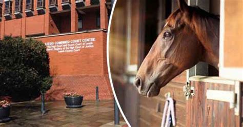 Bloke Guilty Of Sex With Horse Tried To Kill Girl Who Caught Him In