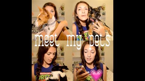 Meet My Pets ♡ Pet Tag Youtube