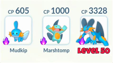 Level 50 Shadow Swampert Evolution Line Is Pure Destruction 😳 Pokémon