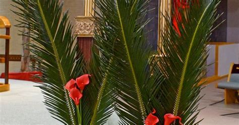Palm Sunday Epiphany Of The Lord Catholic Church Katy Texas Church