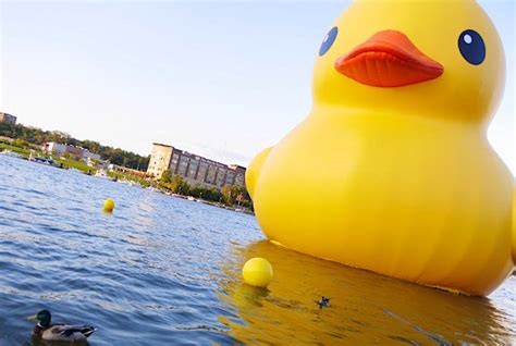 Next Stop Shanghai For Giant Rubber Duck Lonely Planet