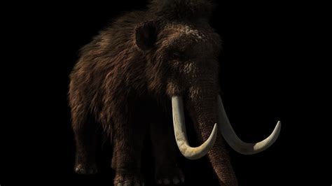 Bioscience Firm Colossal Says It Will Bring Back Woolly Mammoths Other