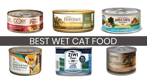 We did not find results for: best wet cat food | Food, Canned cat food, Cat food