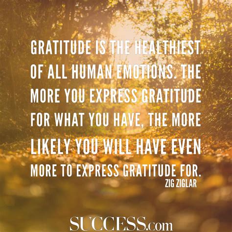 15 Thoughtful Quotes About Gratitude Success