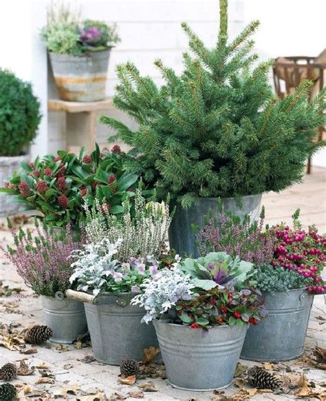 34 Inspiring Winter Container Gardening Ideas Magzhouse