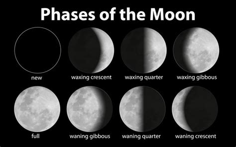 Symbolic Moon Facts And Meanings On Whats Your