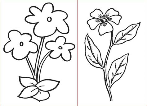 Gambar Dan Wallpaper Bunga 💕💕 Gambar Bunga Yang Simpel Dan Mudah