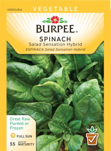 Burpee Salad Sensation Hybrid Spinach Seeds 1 Count Harris Teeter