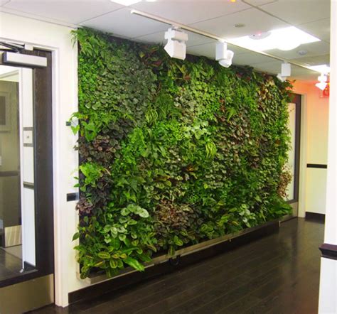 Five Plants Ideal For An Interior Green Wall Wall Garden Indoor