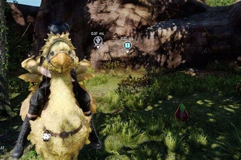 Final Fantasy 15 Chocobos How To Unlock The Chocobo Rent Quest Find
