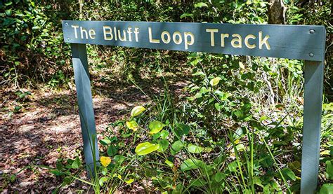 Bluff Loop Walking Track Nsw Holidays And Accommodation Things To Do