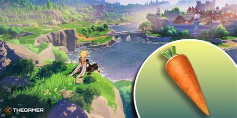 Where To Buy And Farm Carrots In Genshin Impact
