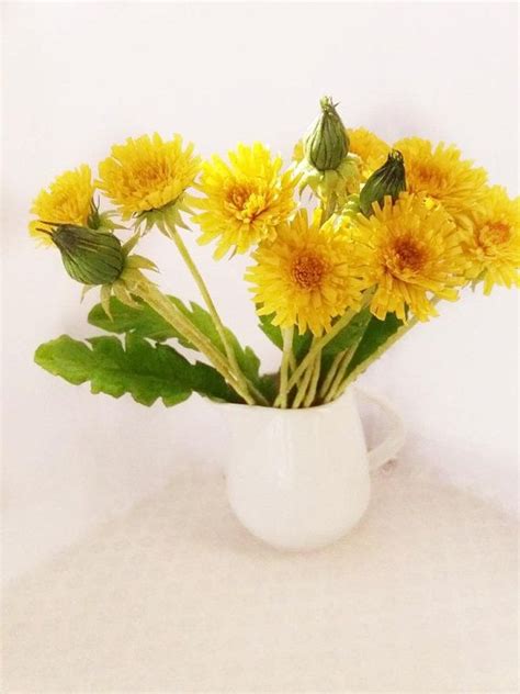 Dried leaves are known as dillweed. Dandelions bouquet of yellow dandelions handmade dandelion ...