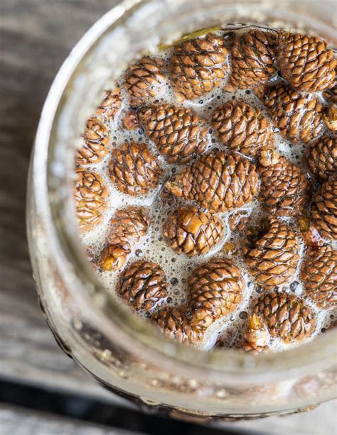 How To Make Traditional Mugolio Or Pine Cone Syrup