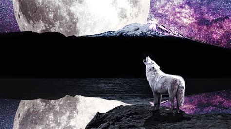 2048x1152 Wolf Moon River 2048x1152 Resolution Hd 4k Wallpapers Images
