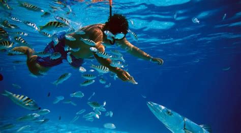 5 Places To Practice Diving And Snorkeling In Cozumel Aquaworld