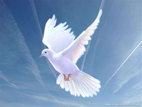 Come Holy Spirit Heavenly Dove With All Thy Quickening Power Kindle A
