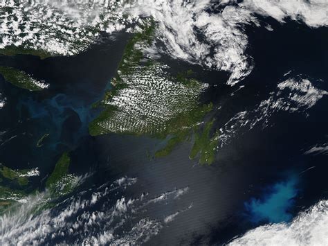 Nasa Modis Image Of The Day July 17 2012 Phytoplankton Blooms Off