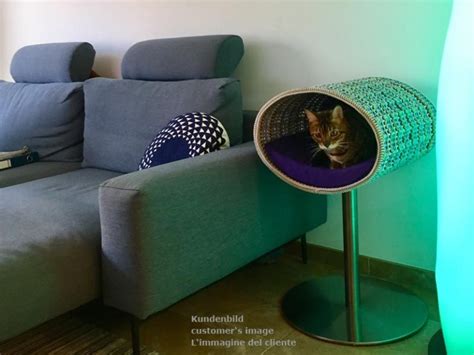20 Best Luxury Cat Beds You Can Buy Online In 2023
