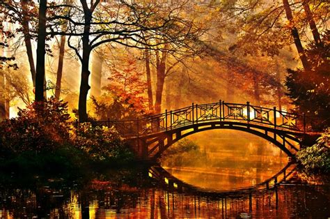 785183 4k Seasons Autumn Parks Rivers Bridges Pond Trees Rays