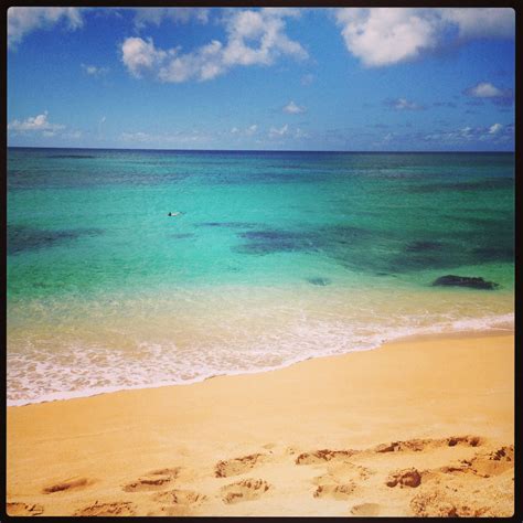 North Shore, Oahu. | Oahu, Beach day, Travel