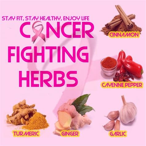 Herbal Health Care Cancer Fighting Herbs