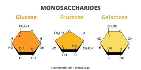 Structural Formula Of Fructose And Galactose