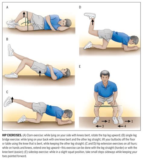They often work together during hip extension, where the the upper extremity of the professional tennis player: hip exercises - Google Search | We Heart It | exercise ...