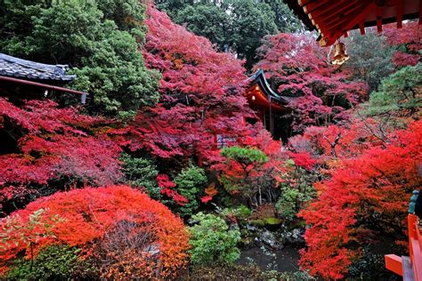 Free Stock Photo Of Japan Kyoto Temple