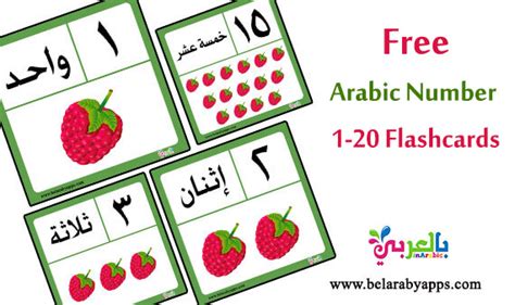 You can learn about arabic numbers, and the language in general through programs such as rosetta stone. Free! Arabic Numbers 1-20 Flashcards Printable ⋆ belarabyapps