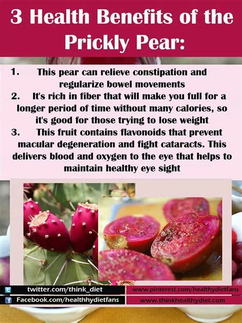 It's because this cactus is amazing. 3 Health Benefits Of The Prickly Pear | Pear health ...