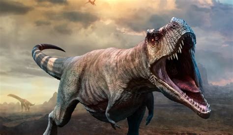 Tyrannosaurus Rex Turns Out To Have A Soft Side Research Reveals This