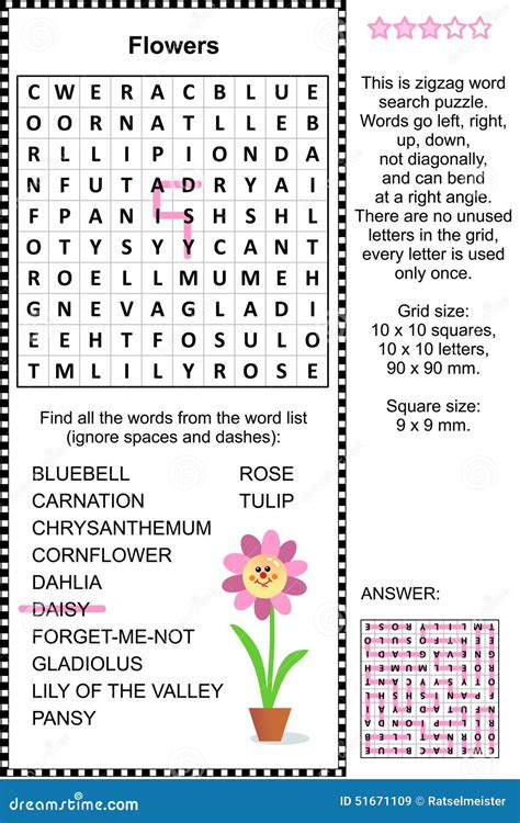 Flowers Themed Wordsearch Puzzle Stock Vector Illustration Of English