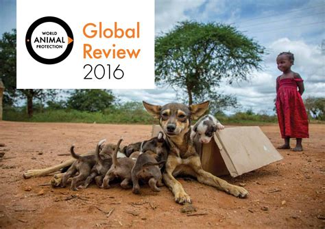 2016 Global Review World Animal Protection By World Animal Protection
