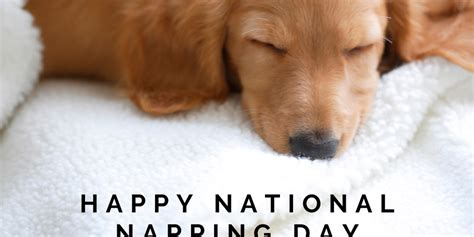 March 9 Is National Napping Day