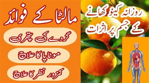 Kinu Khane Ka Faydefawaid Health Benefits Of Citrus Fruits Best