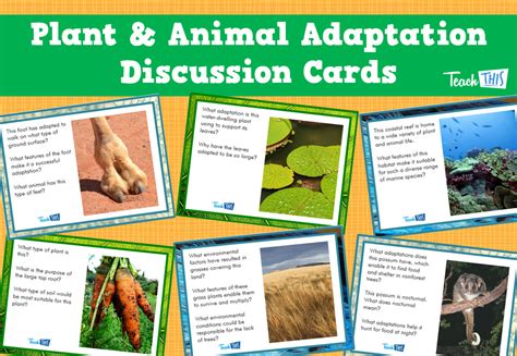 Plant And Animal Adaptation Discussion Cards Set Of 24 Animal