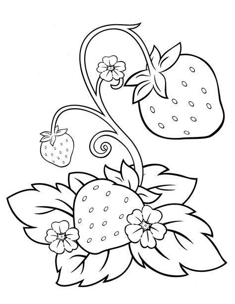 Printable Strawberry Coloring Page Printable Word Searches