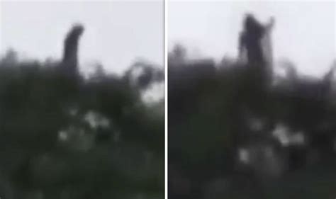 10/23/2020 on friday, october 23 at roughly 4:20 p.m., an unexplained occurrence was caught on. VIDEO: Ghost of La Llorona 'wails' on camera in Colombia ...