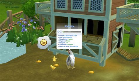 Ts4 Chickens The Ultimate Guide To Cleaning And Caring For Them 2022