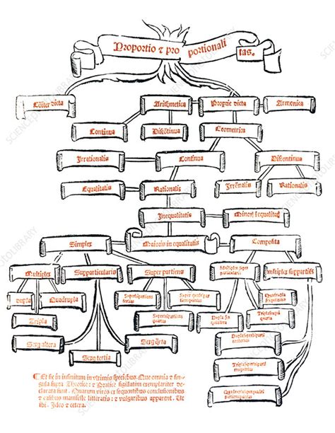 Artwork Of The Different Branches Of Mathematics Stock Image V560