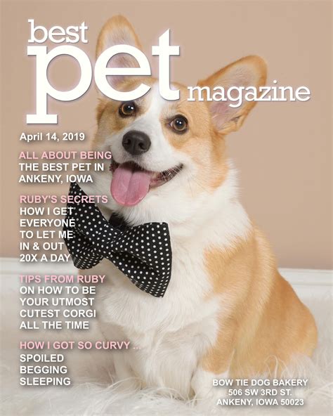 My Covers Yourcover Pet Magazine Cute Corgi Corgi