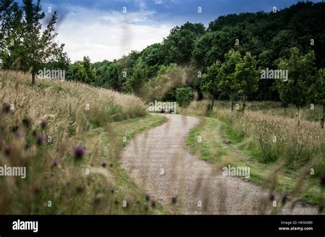 Path Through Long Grass Hi Res Stock Photography And Images Alamy