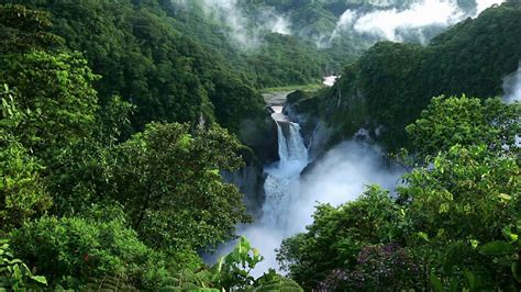 Waterfall And Jungle Sounds Beautiful Nature Sounds Relaxing
