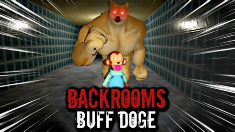Backrooms Buff Doge 1 To 10 Levels Walkthrough Gameplay No Death