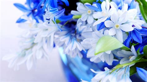 Download, share or upload your own one! HD Wallpapers Nature Flowers 3d | Beautiful flowers ...