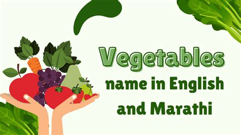 30 Vegetables Name In English And Marathi With Picture