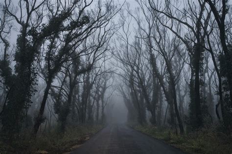 10 Most Haunted Roads In The World Exemplore