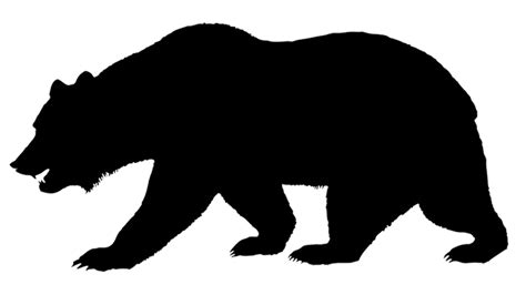 Download High Quality Nature Clipart Rustic Bear Transparent Png Images